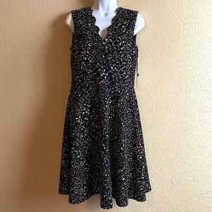 NWT Fit and flare, scallop neck dress